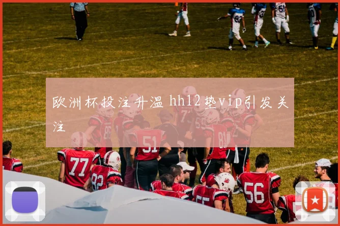 欧洲杯投注升温 hh12垫vip引发关注