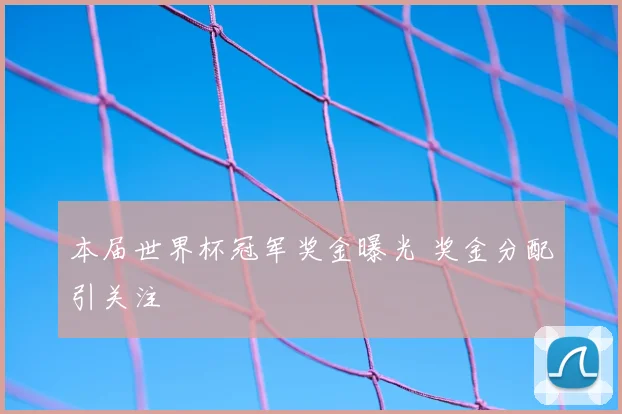 本届世界杯冠军奖金曝光 奖金分配引关注