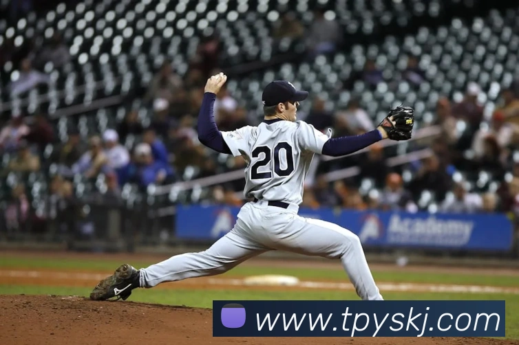 星空app官网发展历程